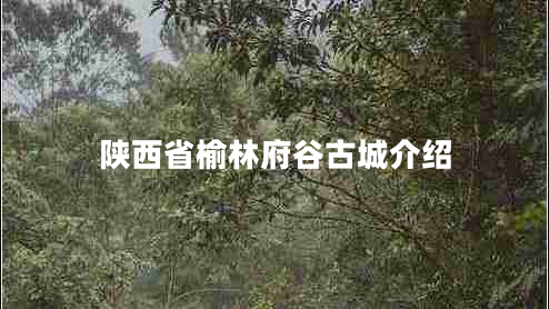 陜西省榆林府谷古城介紹 陜西省榆林府谷古城介紹