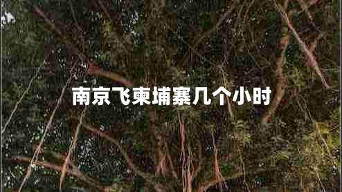 南京飛柬埔寨幾個小時