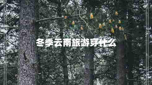 冬季云南旅游穿什么 冬季云南旅游穿什么