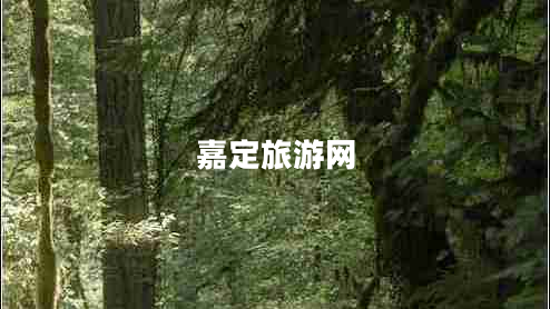 嘉定旅游網(wǎng)