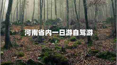 河南省內(nèi)一日游自駕游
