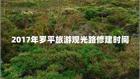 2017年羅平旅游觀光路修建時間
