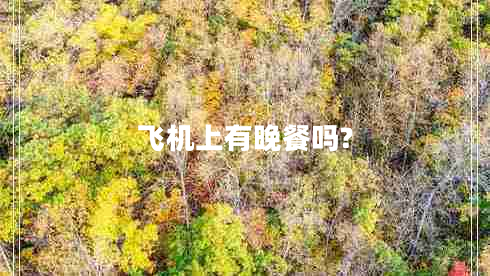 飛機(jī)上有晚餐嗎? 飛機(jī)上有晚餐嗎?