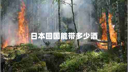 日本回國(guó)能帶多少酒