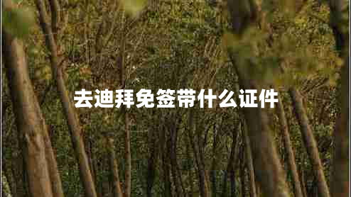 去迪拜免簽帶什么證件