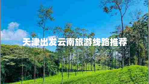 天津出發(fā)云南旅游線路推薦 天津出發(fā)云南旅游線路推薦