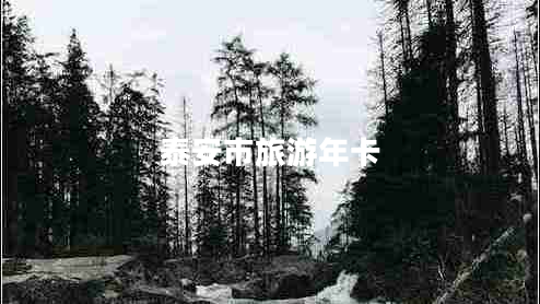 泰安市旅游年卡
