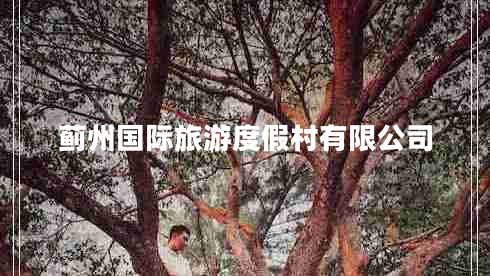 薊州國(guó)際旅游度假村有限公司