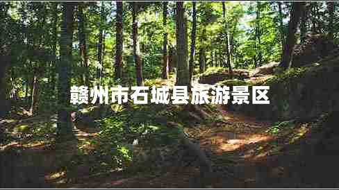 贛州市石城縣旅游景區(qū) 贛州市石城縣旅游景區(qū)