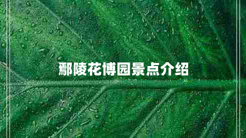 鄢陵花博園景點(diǎn)介紹