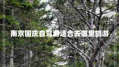 南京國慶自駕游適合去哪里旅游