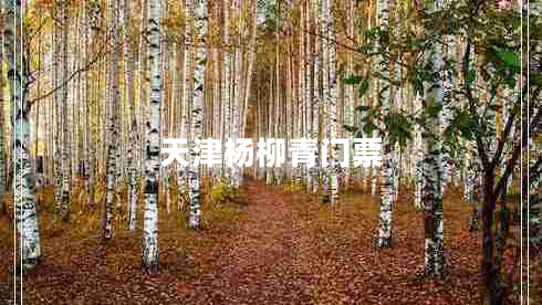 天津楊柳青門票