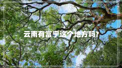云南有富寧這個(gè)地方嗎?