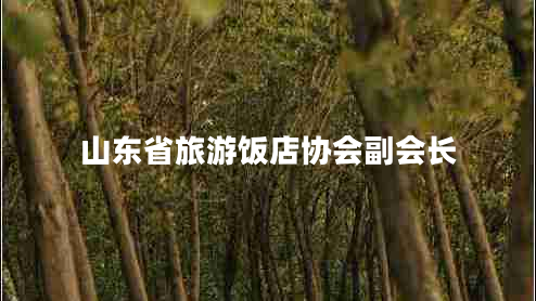 山東省旅游飯店協(xié)會(huì)副會(huì)長(zhǎng)