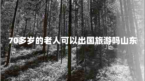 70多歲的老人可以出國旅游嗎山東 70多歲的老人可以出國旅游嗎山東