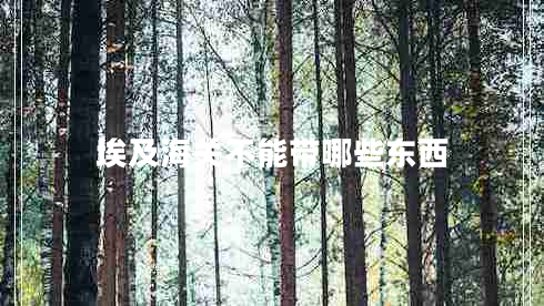 埃及海關(guān)不能帶哪些東西