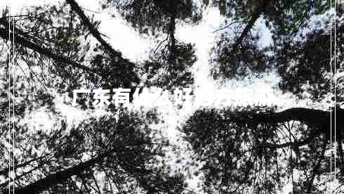 廣東有什么好地方旅游