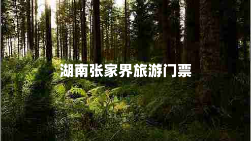 湖南張家界旅游門票