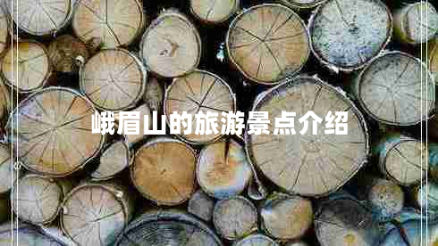 峨眉山的旅游景點(diǎn)介紹