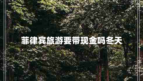 菲律賓旅游要帶現(xiàn)金嗎冬天