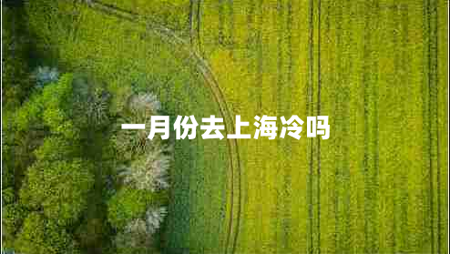 一月份去上海冷嗎