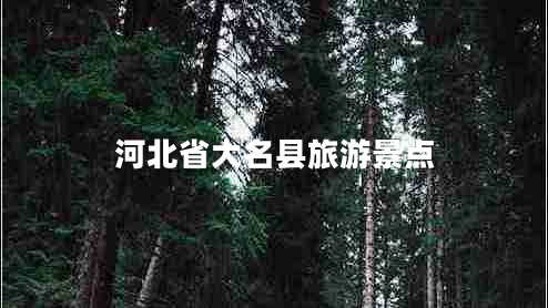 河北省大名縣旅游景點