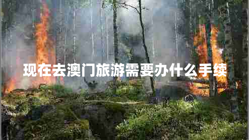 現(xiàn)在去澳門旅游需要辦什么手續(xù)