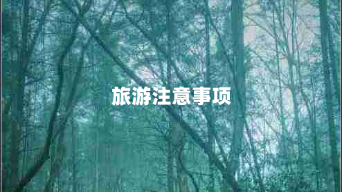 旅游注意事項