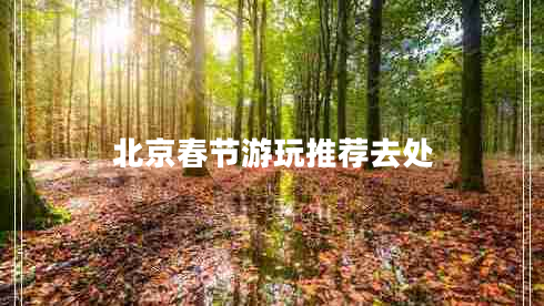 北京春節(jié)游玩推薦去處