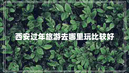 西安過年旅游去哪里玩比較好 西安過年旅游去哪里玩比較好