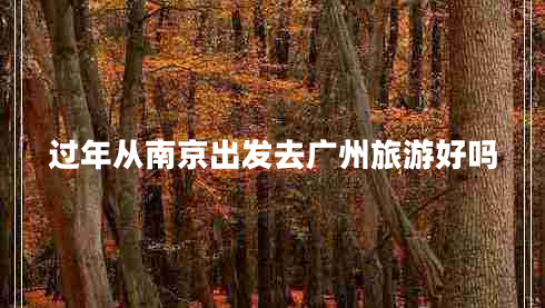 過(guò)年從南京出發(fā)去廣州旅游好嗎