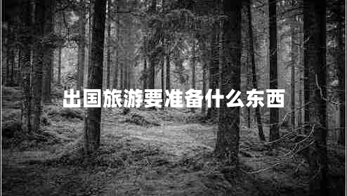 出國旅游要準備什么東西