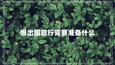 想出國旅行需要準(zhǔn)備什么