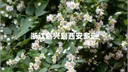 浙江嘉興到西安多遠