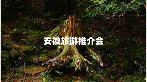 安徽旅游推介會 安徽旅游推介會