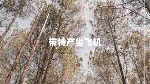 帶特產(chǎn)坐飛機 帶特產(chǎn)坐飛機