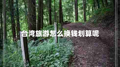 臺灣旅游怎么換錢劃算呢