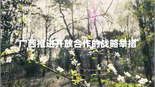 廣西推進(jìn)開(kāi)放合作的戰(zhàn)略舉措