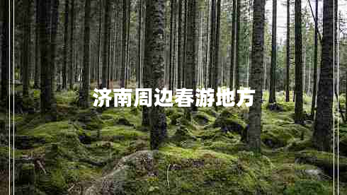 濟(jì)南周邊春游地方