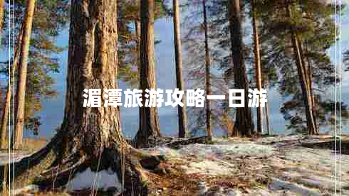 湄潭旅游攻略一日游 湄潭旅游攻略一日游