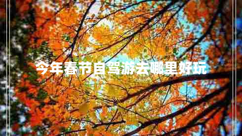 今年春節(jié)自駕游去哪里好玩