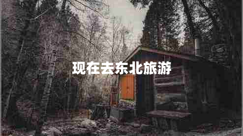 現(xiàn)在去東北旅游