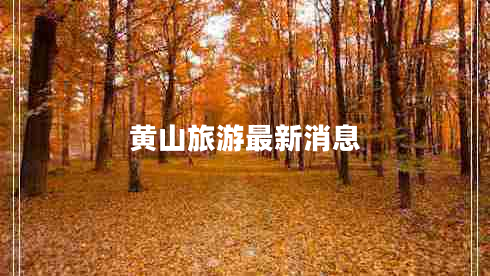 黃山旅游最新消息