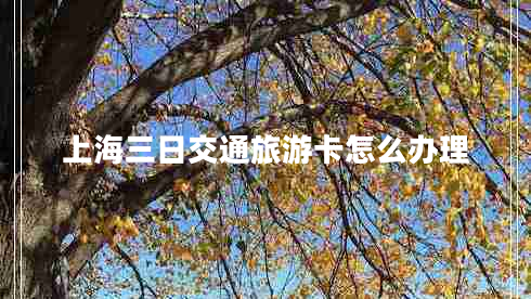 上海三日交通旅游卡怎么辦理
