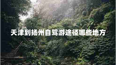 天津到揚州自駕游途徑哪些地方