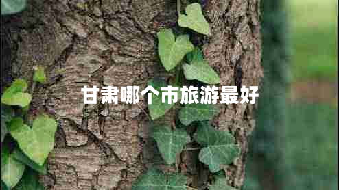 甘肅哪個(gè)市旅游最好