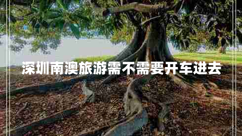 深圳南澳旅游需不需要開車進(jìn)去