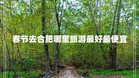 春節(jié)去合肥哪里旅游最好最便宜