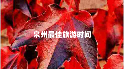 泉州最佳旅游時(shí)間