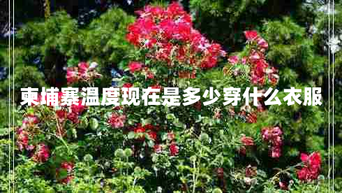 柬埔寨溫度現(xiàn)在是多少穿什么衣服